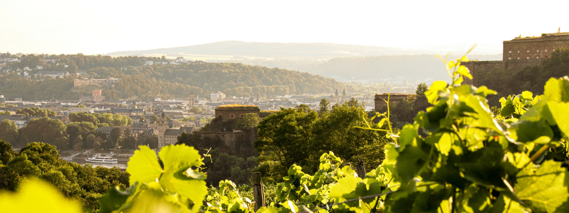 Blick über die Weinberge in Ehrenbreitstein auf die Festung Ehrenbreitstein  ©Koblenz-Touristik GmbH 