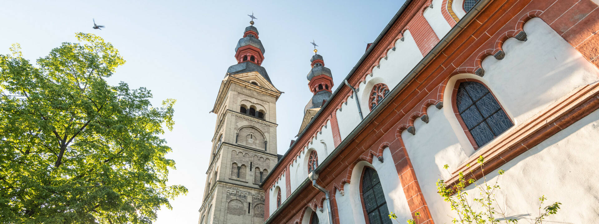 Blick auf die Liebfrauenkirche mit Sonnenstrahlen hinter einem nebenstehenden Baum ©Koblenz-Touristik GmbH, Dominik Ketz