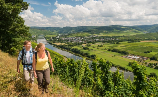 Wanderpaar geht entlang der Mosel auf einem Hang auf dem Moselsteig Wanderweg