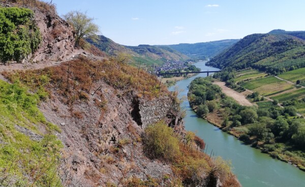 Schmaler Pfad an einem steilen Hang in den Weinbergen mit Blick auf die Mosel, grüne Hügel und eine kleine Ortschaft im Hintergrund  ©Koblenz-Touristik, Katharina Röper 