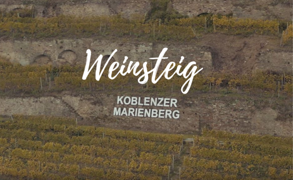 Weinberg mit Buchstaben "Koblenzer Marienberg" sowie mit grafischer Beschriftung "Weinsteig" © Weingut Schwaab