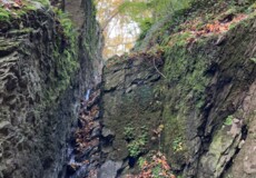 Kluft zwischen zwei steilen Berghängen im Wald mit einem Bach © Stadt Lahnstein