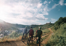 Freundesgruppe auf Mountainbikes auf einem Radweg neben der Mosel mit Burg Thurant im Hintergrund © Philip Bruederle