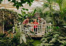 Familie im Schmetterlinggarten in Sayn stehen auf einer kleinen Brücke und erstaunen die Pflanzen und Schmetterlingen ©Koblenz-Touristik GmbH, Philip Bruederle