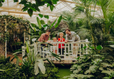 Familie im Schmetterlinggarten in Sayn stehen auf einer kleinen Brücke und erstaunen die Pflanzen und Schmetterlingen © Koblenz-Touristik GmbH, Philip Bruederle