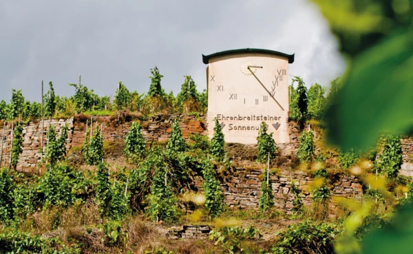 Ehrenbreitsteiner Sonnenuhr auf dem Weinberg vom Weingut Wagner