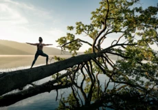 Dame in Kriegerstellung macht Yoga auf einem Baumstamm im Wasser beim Sonnenaufgang bei Maria Laach