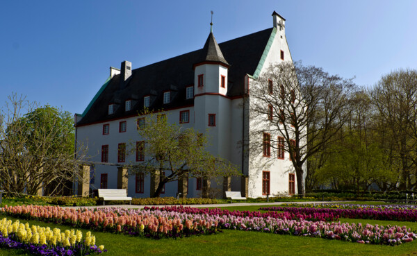 Blumenhof der Basilika St. Kastor mit dem Deutschherrenhaus im Hintergrund ©Koblenz-Touristik GmbH, Christian Nentwig