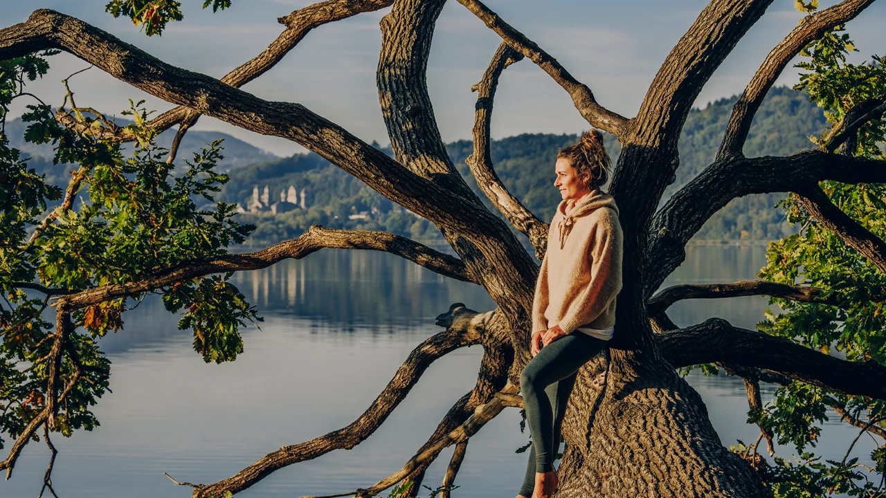 Woman sitting on a tree looking out over the Maria Laach Lake with an abbey in the background