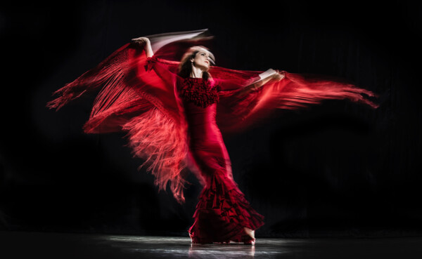 Madrugá flamenca © JuergenGocke © Madrugá flamenca © JuergenGocke