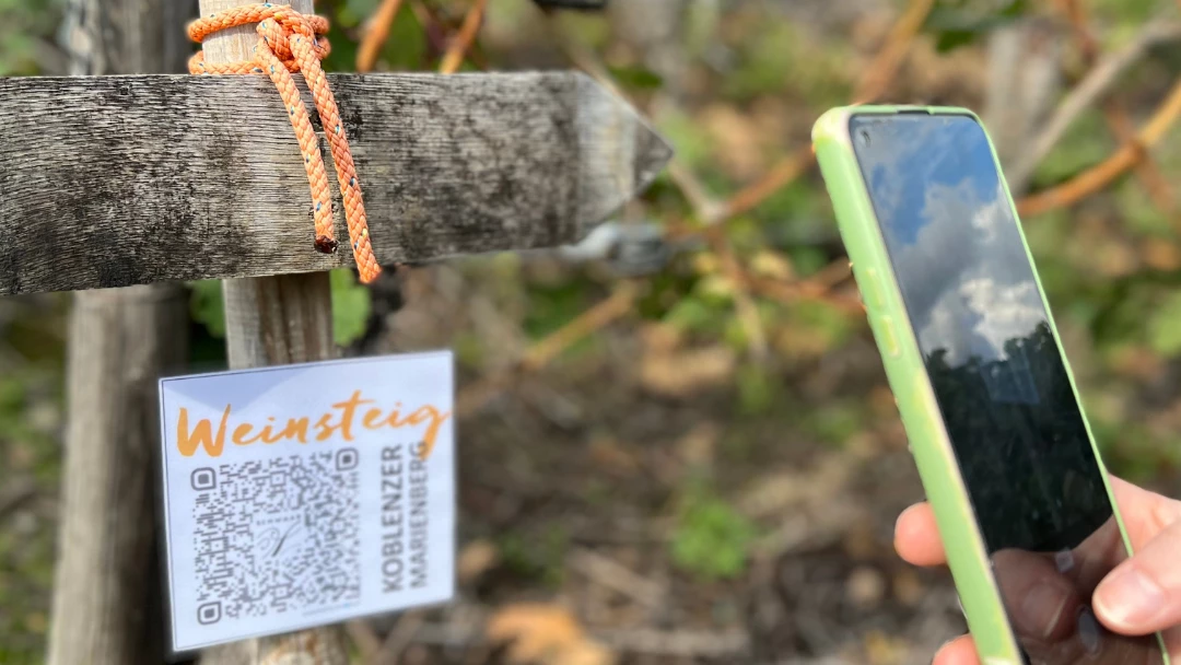 Handy scannt QR-Code zum Weinsteig Koblenzer Marienberg