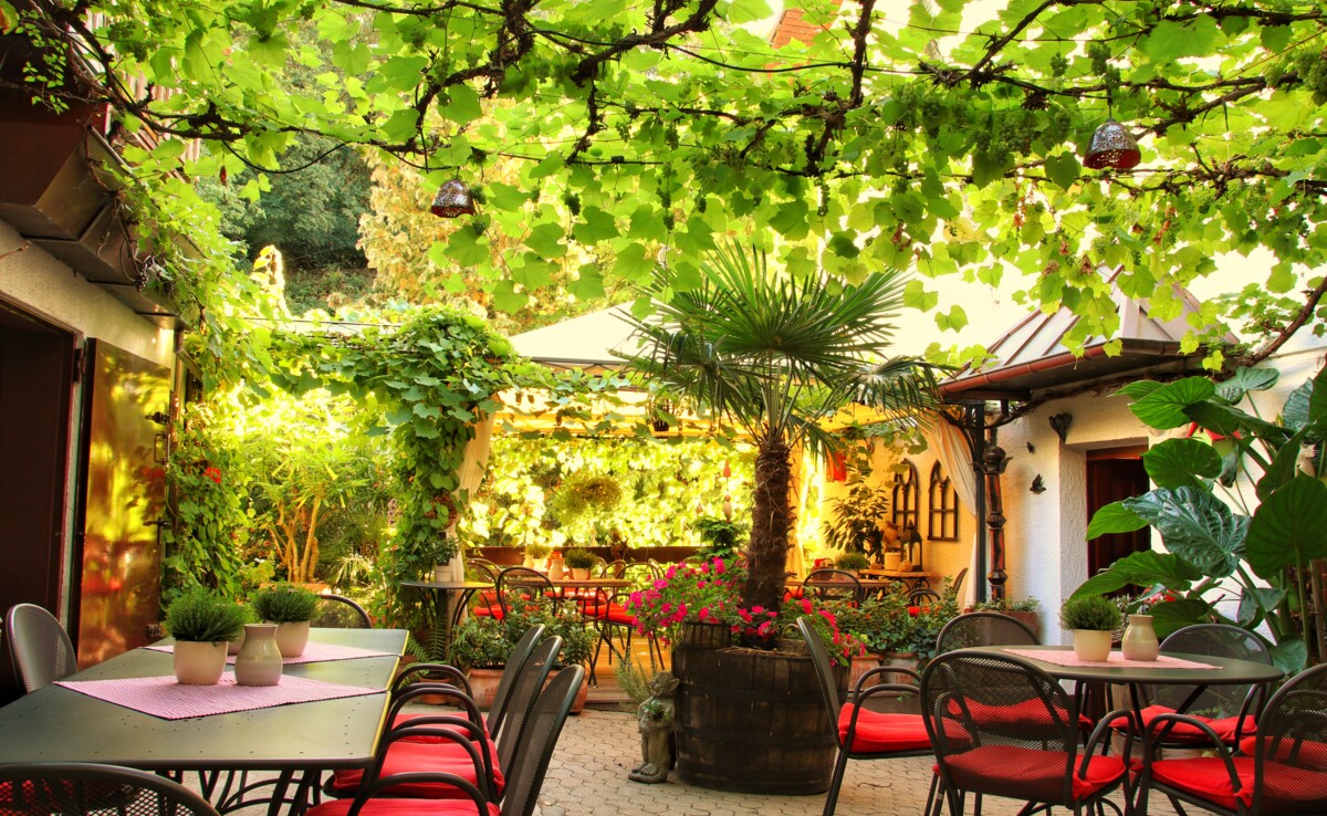 Koblenzer Winzer Visit.Koblenz