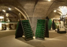 Flaschensammlung im Koblenzer Sektmuseum