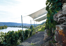 Vineyard in foreground with river in background © Koblenz-Touristik GmbH, Johannes Bruchhof Vineyard in foreground with river in background © Koblenz-Touristik GmbH, Johannes Bruchhof