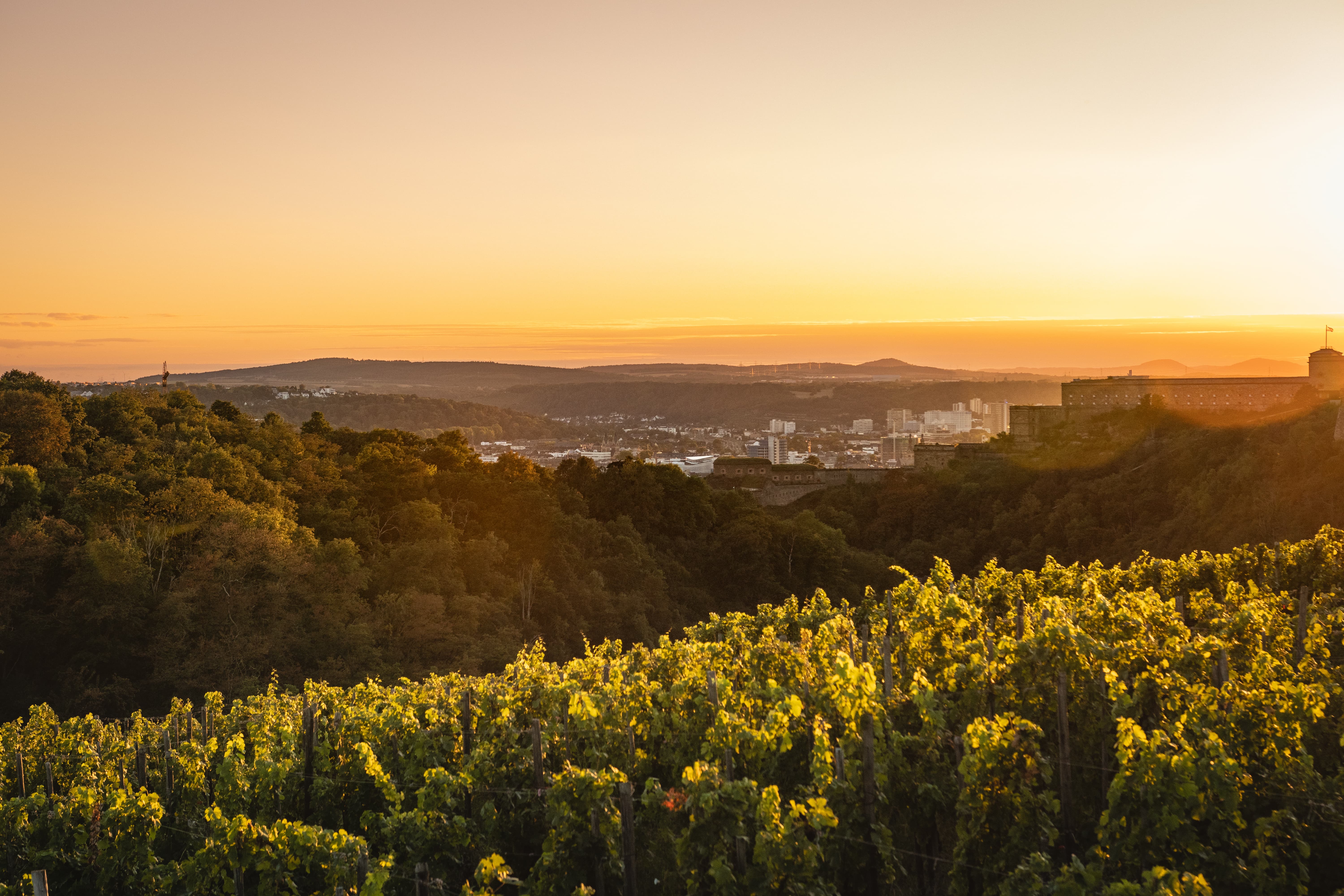 Weinberge und Festung Ehrenbreitstein © Koblenz-Touristik GmbH, Johannes Bruchhof Weinberge und Festung Ehrenbreitstein © Koblenz-Touristik GmbH, Johannes Bruchhof