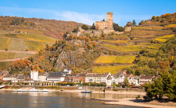 Burg Gutenfels in Kaub am Rhein, mit herbstlichen Weinbergen im HIntergrund ©Johannes Bruchhof