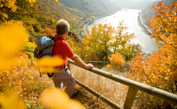 Mann steht am Zaun über dem Rhein auf dem Rheinsteig Wanderweg ©Romantischer Rhein Tourismus GmbH/D.Ketz