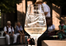 Glas Weißwein steht im Vordergrund während der Führung Weinspaziert ©Koblenz-Touristik GmbH, Johannes Bruchhof