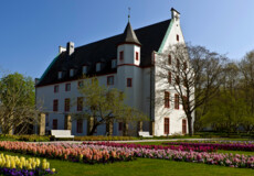 Blumenhof der Basilika St. Kastor mit dem Deutschherrenhaus im Hintergrund ©Koblenz-Touristik GmbH, Christian Nentwig