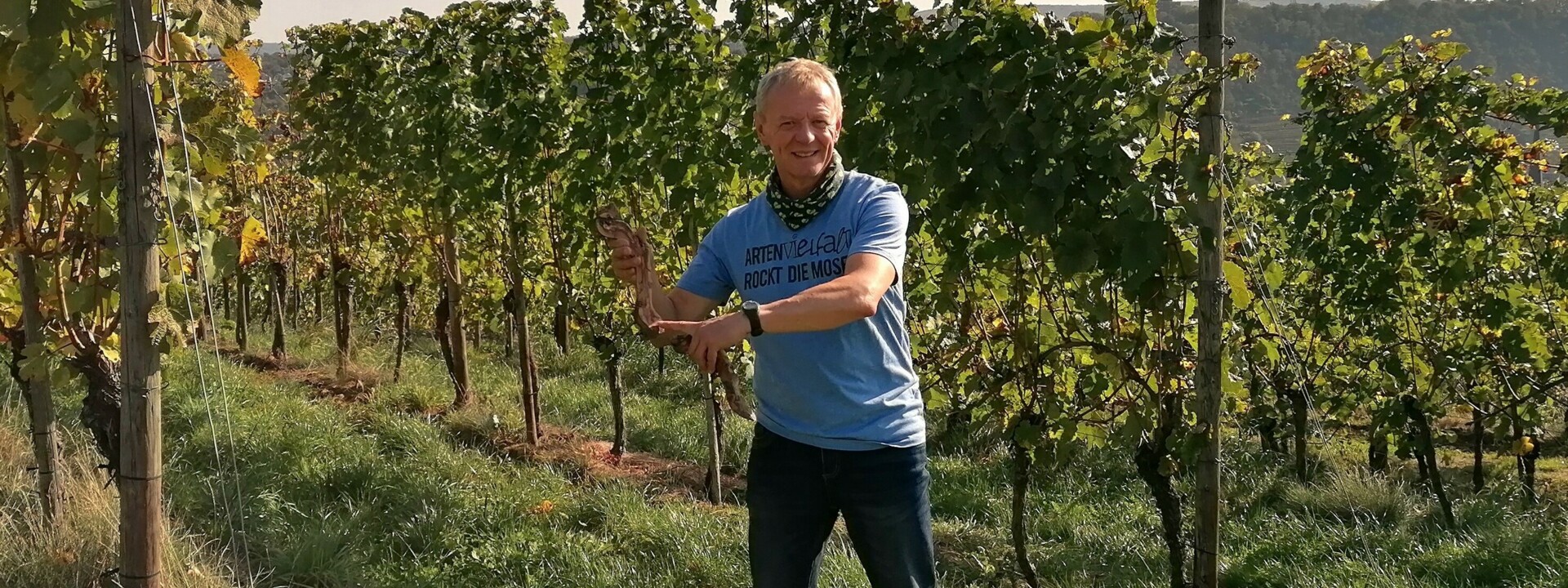 Gästeführer Bernd Doetsch im Weinberg bei der Führung "Der lebendige Weinberg" ©Bernd Doetsch