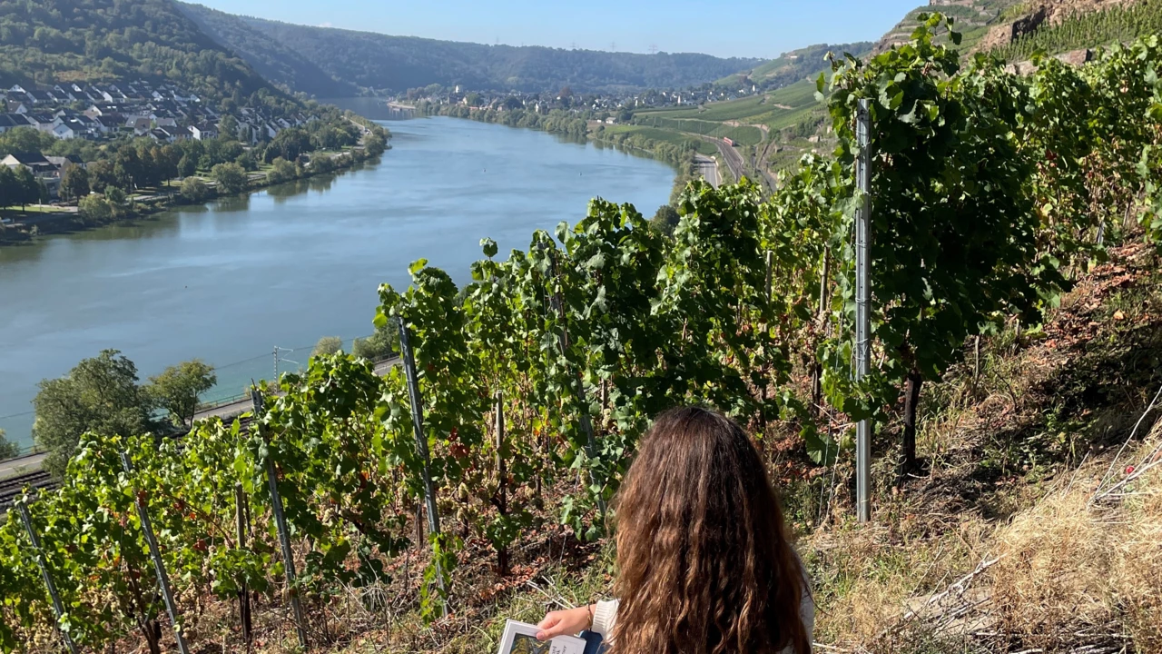 Frau sitzt in den Weinbergen bei Koblenz-Güls auf Stein und liest Buch