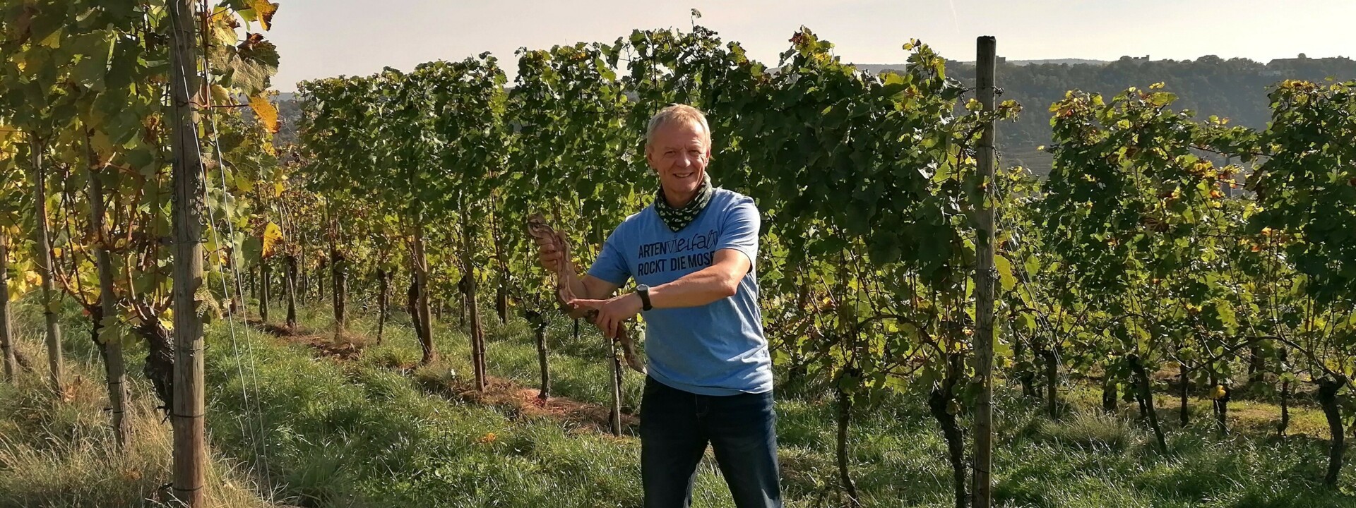 Gästeführer Bernd Doetsch im Weinberg bei der Führung "Der lebendige Weinberg" ©Bernd Doetsch