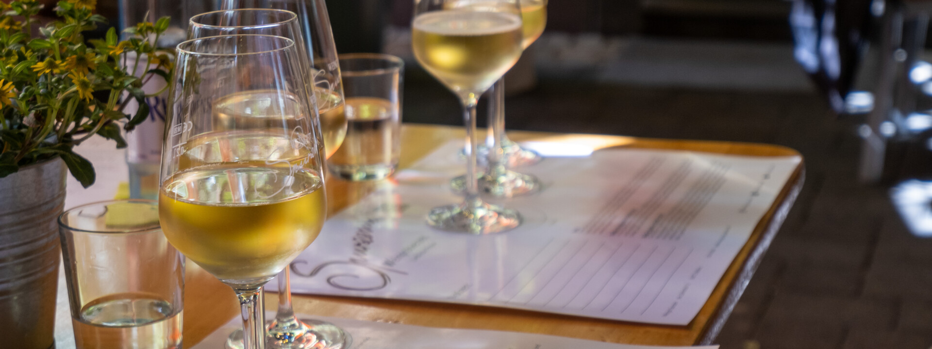 Gläser mit Wein werden bei der Weinprobe verkostet ©Weingut Spurzem