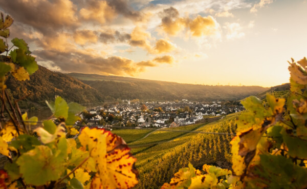 farbenfroher Ausblick auf Winningen © 