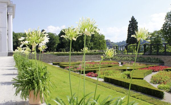 Garten des Kurfürstlichen Schlosses ©Koblenz-Touristik GmbH