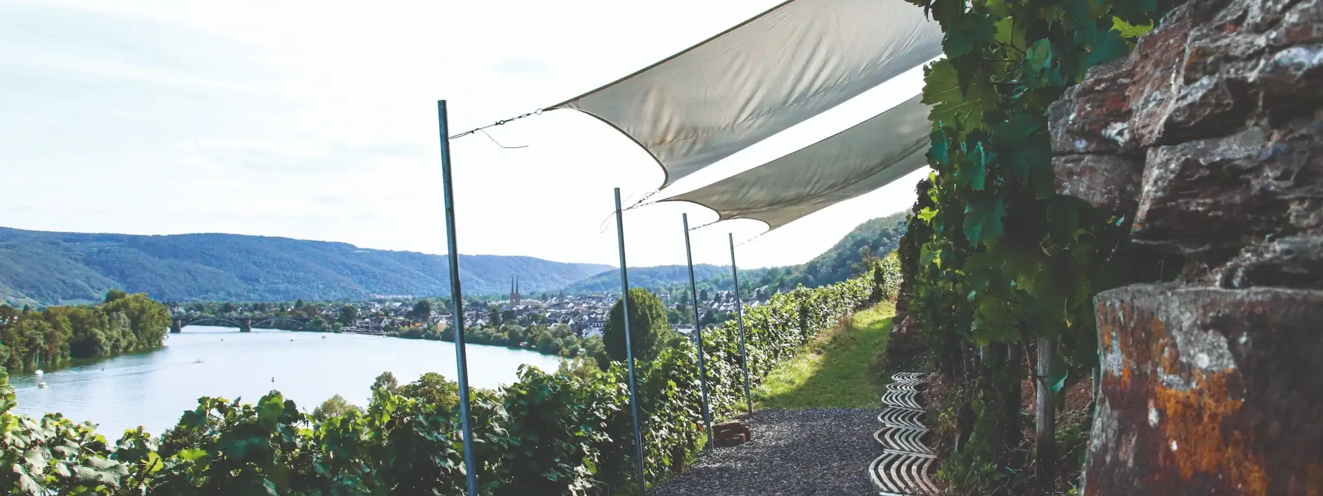 Vineyard in the foreground with river in the background &copy; Koblenz-Touristik GmbH, Johannes Bruchhof
