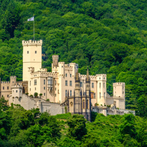 Schloss Stolzenfels umgeben vom grünen Wald ©(C) HaveSeen