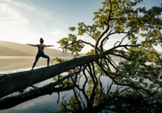 Dame in Kriegerstellung macht Yoga auf einem Baumstamm im Wasser beim Sonnenaufgang bei Maria Laach ©Koblenz-Touristik GmbH, Philip Bruederle