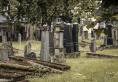 Jüdischer Friedhof ©Koblenz-Touristik GmbH / Johannes Bruchhof