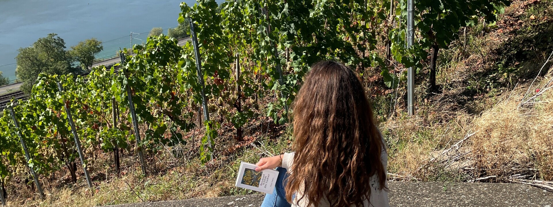 Frau sitzt in den Weinbergen bei Koblenz-Güls auf Stein und liest Buch ©Koblenz-Touristik