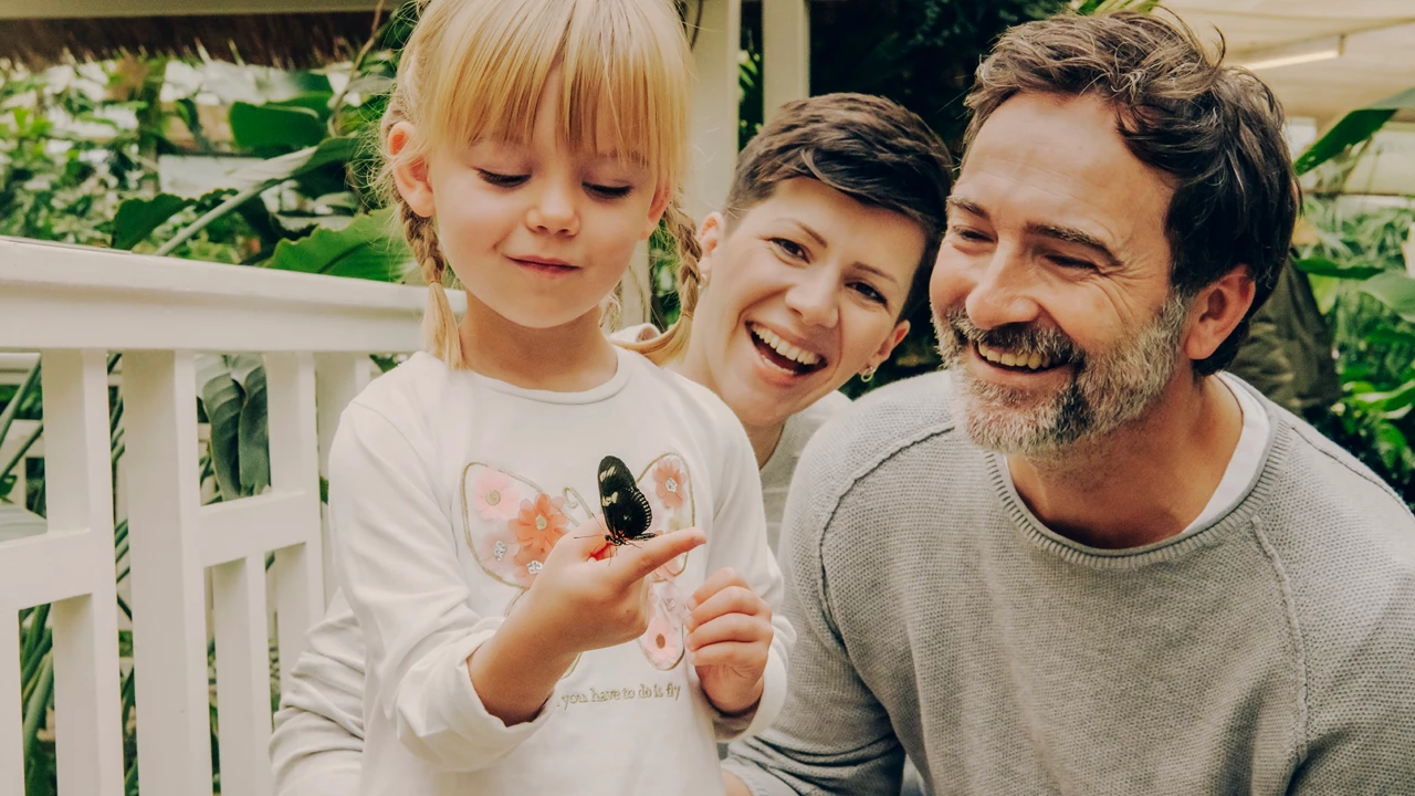 Familie im Schmetterlingsgarten in Sayn lachen während Tochter einen Schmetterling auf ihrem Finger beobachtet