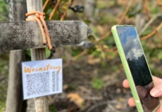Handy scannt QR-Code zum Weinsteig Koblenzer Marienberg