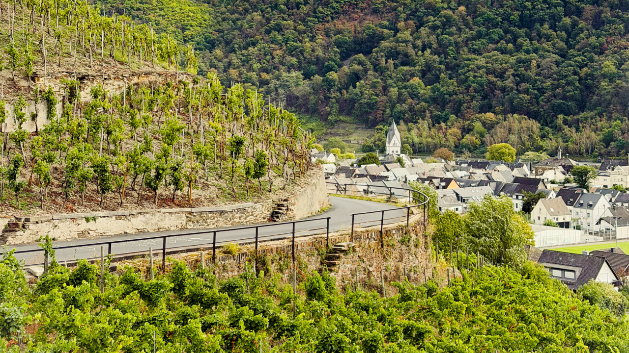Winningen und Weinterrassen © Koblenz-Touristik Weinberge vor dem Weindorf Winningen © Koblenz-Touristik