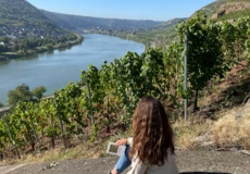 Frau sitzt in den Weinbergen bei Koblenz-Güls auf Stein und liest Buch