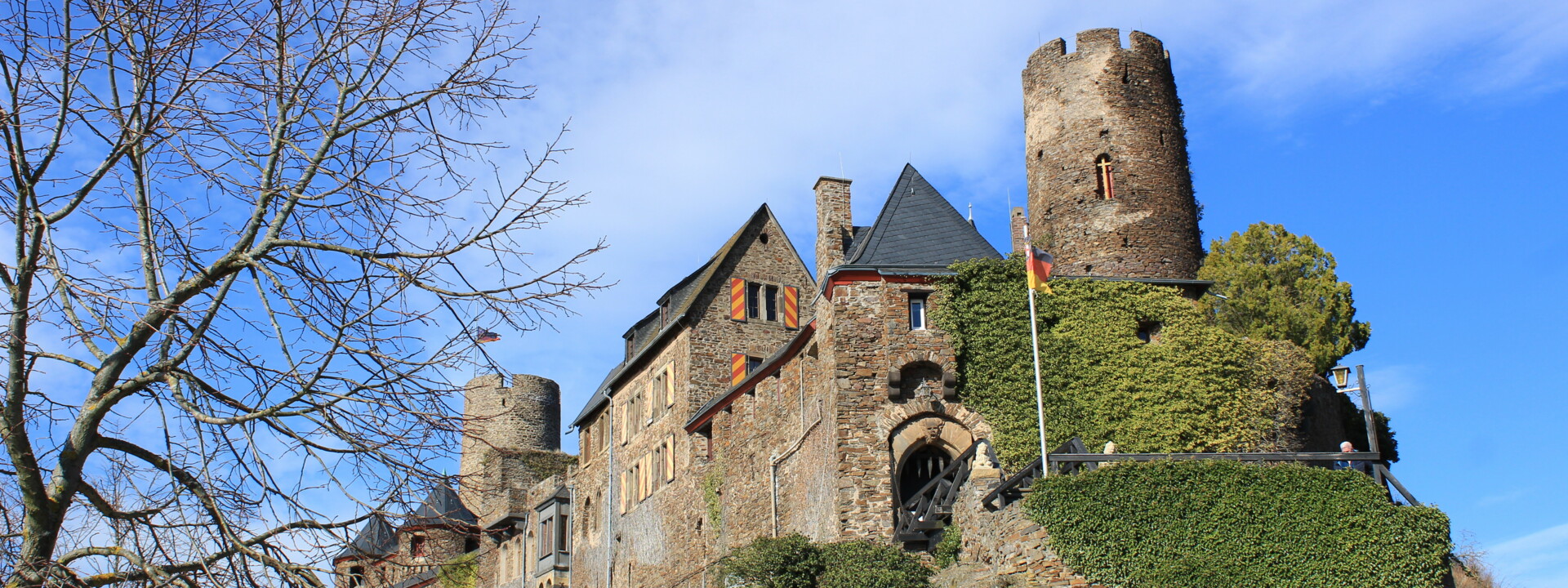 Blick auf die Burg Thurant auf einer Bergkuppe, im Vordergrund ein Baum ohne Blätter und im Hintergrund blauer Himmel ©Koblenz-Touristik GmbH, Katharina Röper 