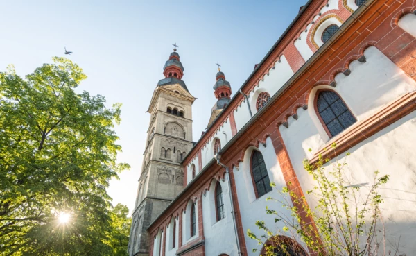 Blick auf die Liebfrauenkirche von Unten mit Sonnenstrahlen hinter einem nebenstehenden Baum