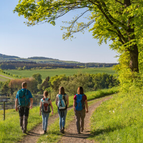 Familie wandert in der Eifel © 